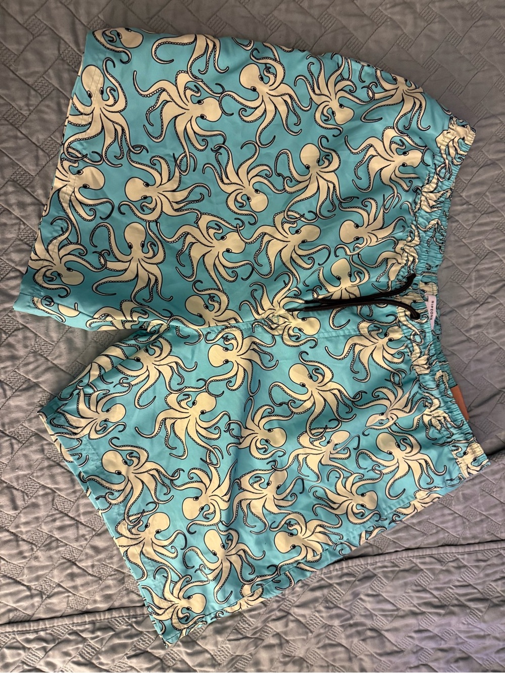 Ripzone XL Swim Trunks